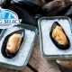 Iceberg-Select-Mussels