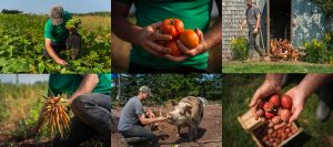 One Vision Farms photos
